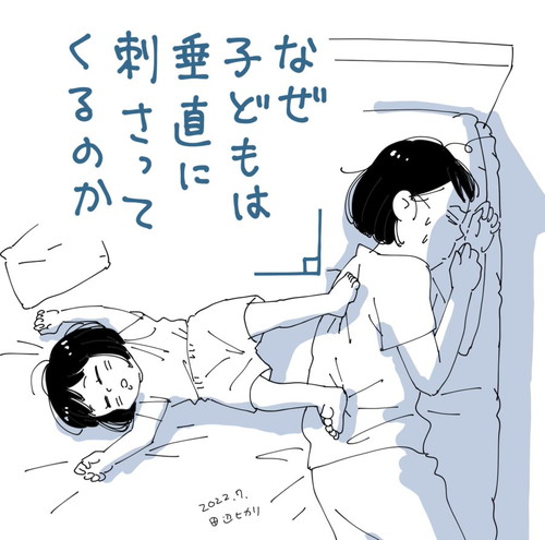 垂直に刺さるまめこちゃん