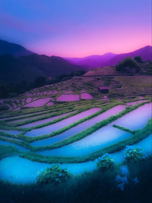 幻想的な棚田写真