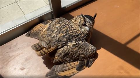 後ろにまわって撮影