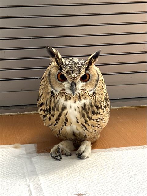 座って縮こまってるる