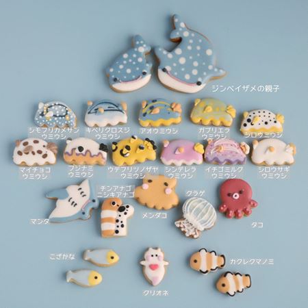 アイシングクッキーで海の生き物を表現したクッキー缶