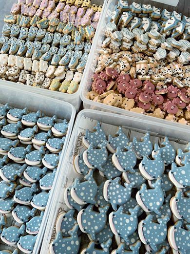 アイシングクッキーで海の生き物を表現したクッキー缶