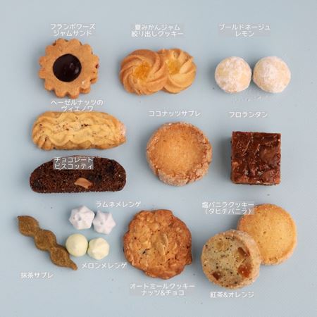 アイシングクッキーで海の生き物を表現したクッキー缶