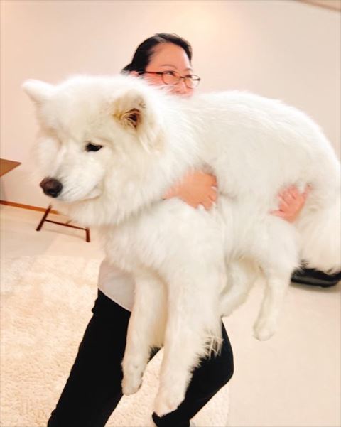飼い主さんの顔少し見える