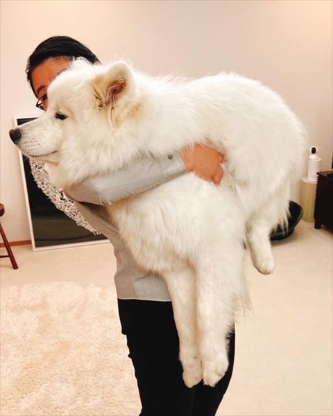 さんくんの顔をのぞきこむ飼い主さん