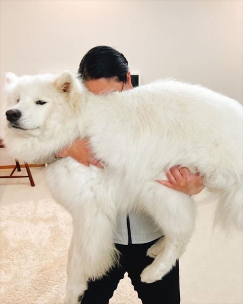さんくんの体に顔をうめる飼い主さん