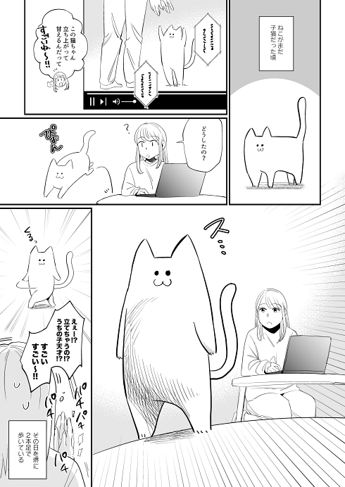猫漫画 保護猫