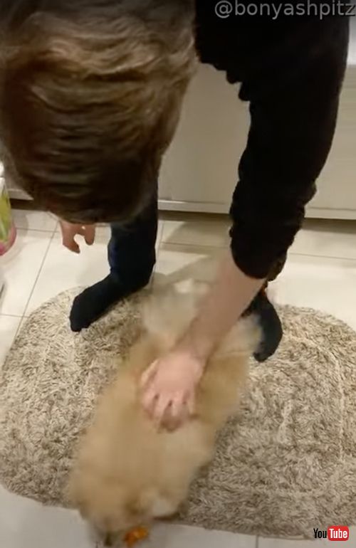 おもちゃを洗うと慌てるワンコ