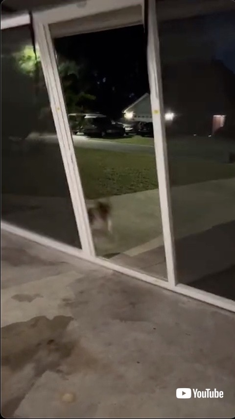 網戸が揺れるガレージ