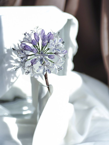 アガパンザスのかんざし