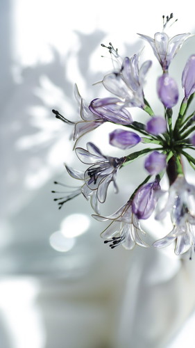 アガパンザスのかんざし