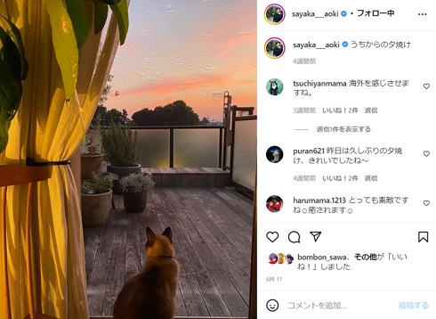 青木さやかの部屋