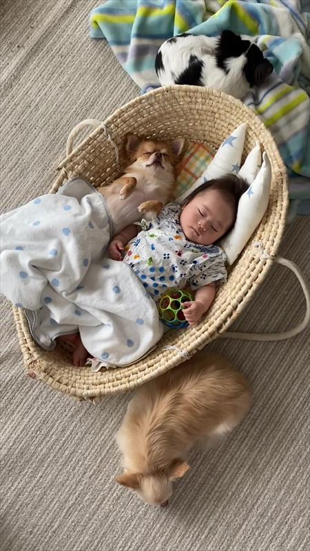 一緒にねんね全員