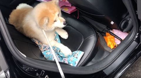 顔がシワシワになってる