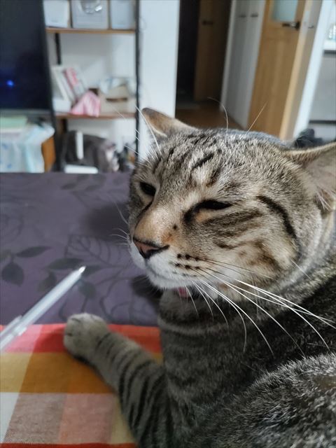 うっとりした顔