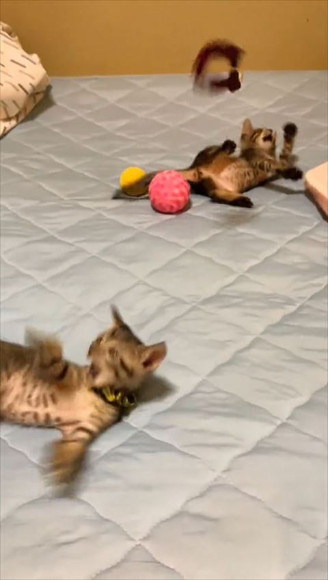 首輪が上に飛ぶ様子