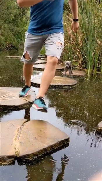 面白ペット写真コンテスト