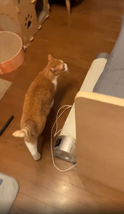 ベッドを見るマナくん