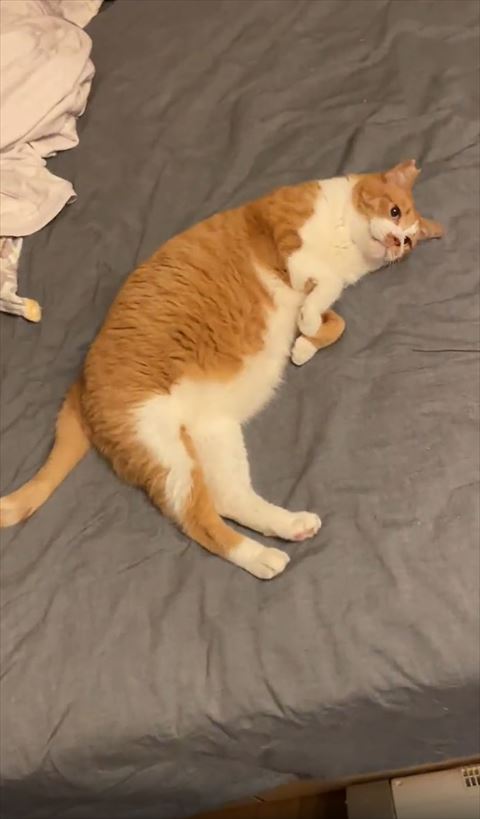 おすすめ