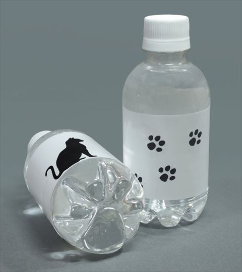 ペットボトル裏