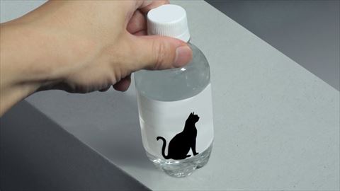 紙の上にペットボトル