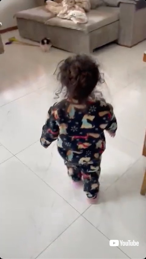 赤ちゃんに追いかけられる子犬