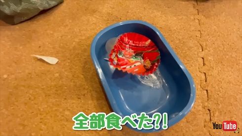 エハラマサヒロのYouTubeチャンネル
