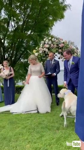 「Colonel Runs Down Wedding Aisle Crashing into Mic Stand || ViralHog」