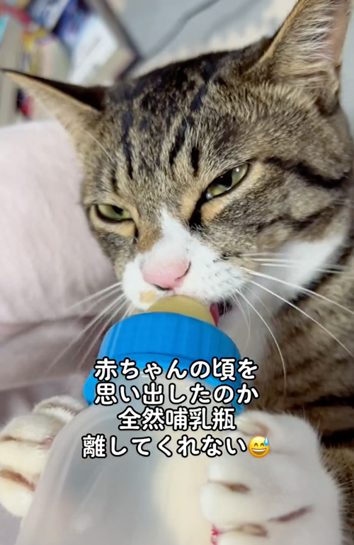 哺乳瓶をガシッとつかんで離さない