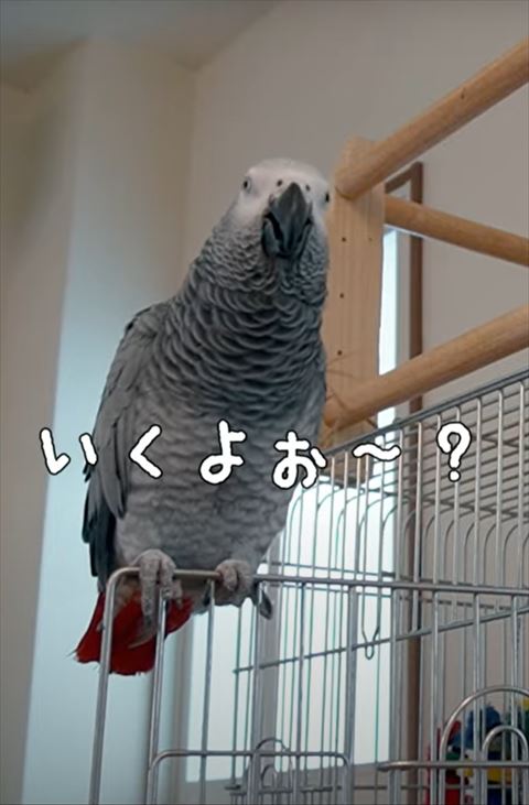 いくよぉテロップ