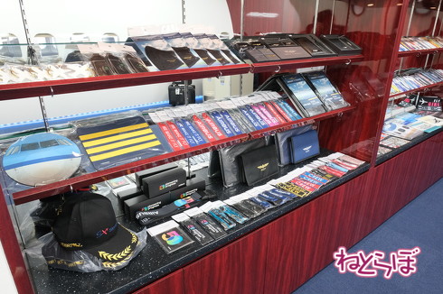 シェラトンフライトシミュレーター