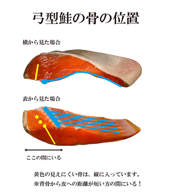 鮭の切り身・弓型鮭の骨の位置