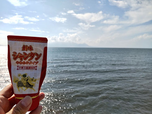 創味シャンタン