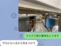 「大阪王将」店舗にナメクジやゴキブリが発生？　元従業員の“告発”が衝撃与える　大阪王将「事実関係を調査中」