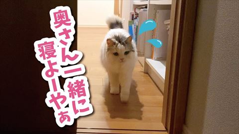 サムネ