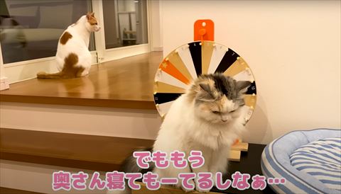 下を向いてるつくしちゃん
