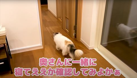 廊下を歩く