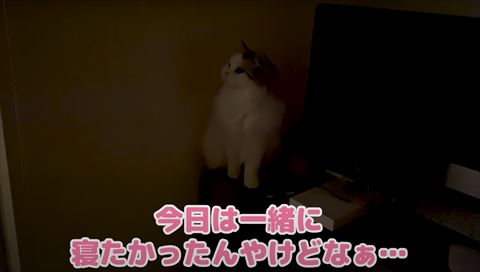 テレビ横に座る