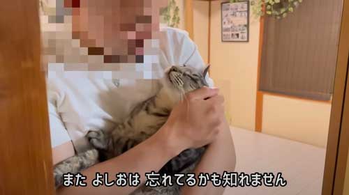猫 息子 大好き 兄ちゃん 半年ぶり 再会 思い出す 喜ぶ 甘える