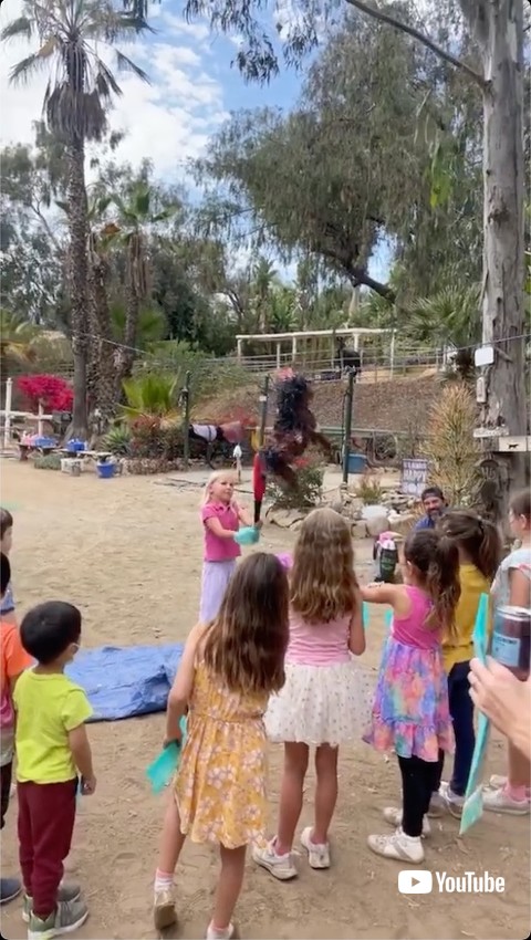 子どもがピニャータ割りをしています