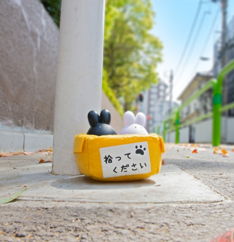 カプセルトイ ダンボール