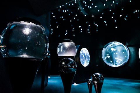 クラゲコーナー