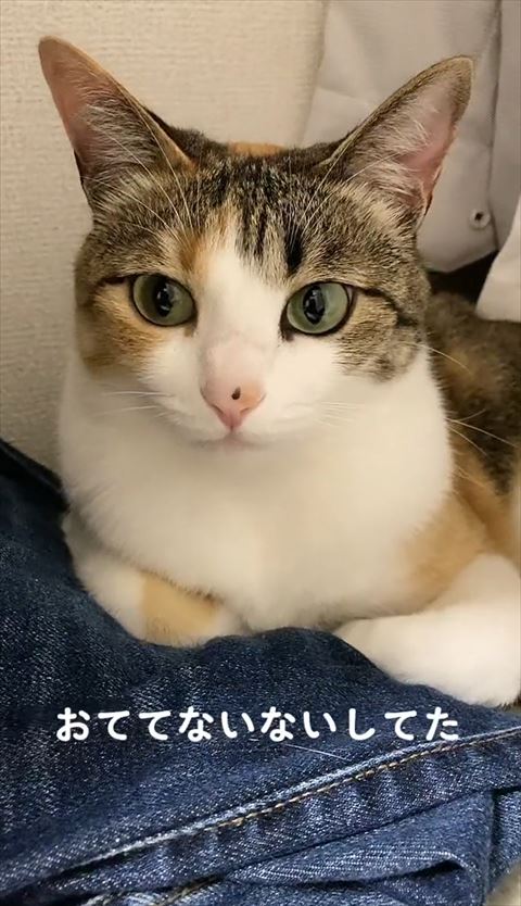 おててないない