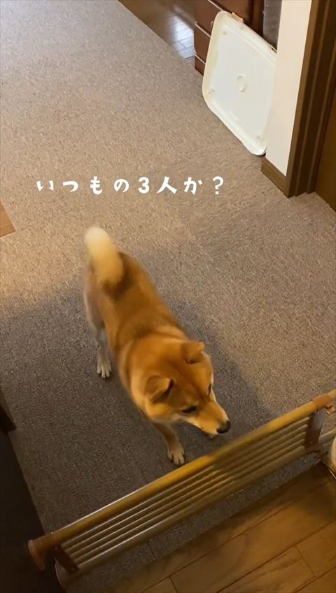 前を見て少し様子をうかがう