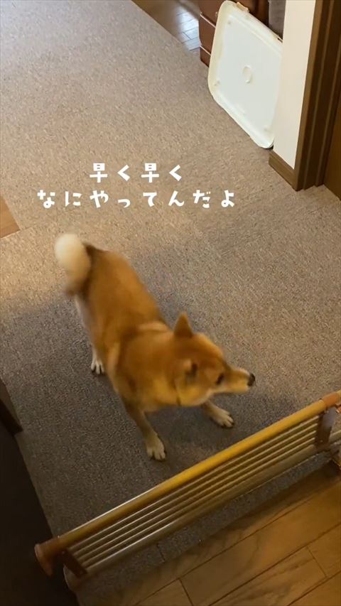 右のほう見て少し様子うかがう