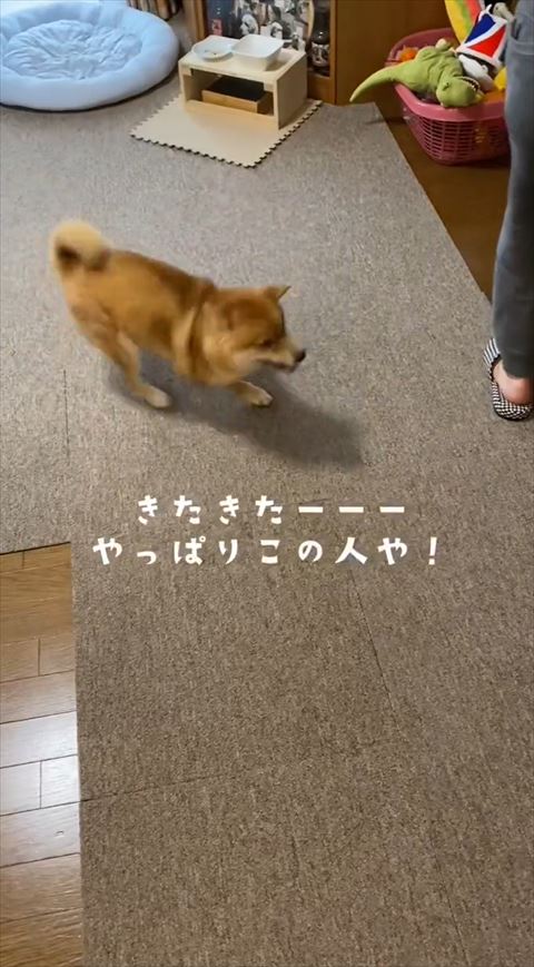 水飲み場の前走ってる