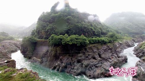 HC85系ひだ1号からの車窓