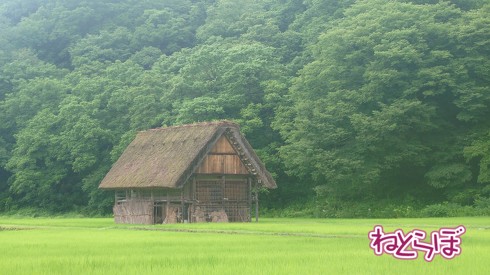 歩くだけで絵になる風景を見つけられる