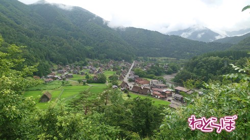 萩町城趾展望台からのいい眺め。シャトルバスの停留所から、ゆるい坂道を120メートルほど降りたところにある