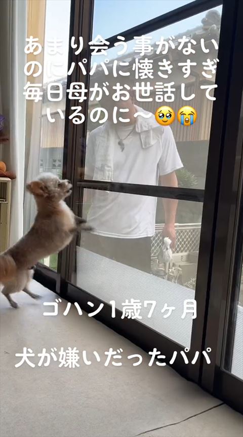 窓の前でジャンプ